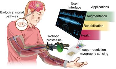 Wearable super-resolution muscle–machine interfacing